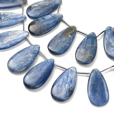 Natural Kyanite Beads Strands G-H335-E01-10x30mm-1
