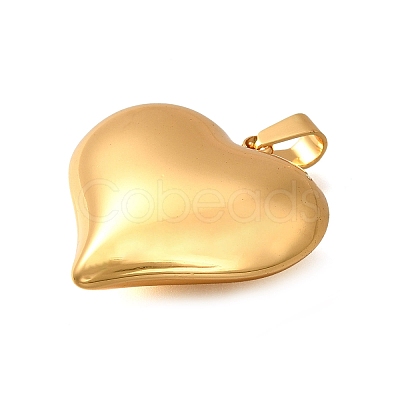 304 Stainless Steel Pendants STAS-H200-01G-03-1