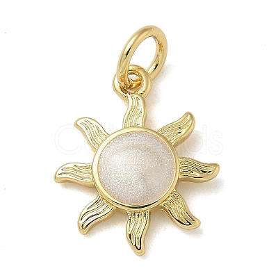 Rack Plating Brass Enamel Charms KK-K392-50G-02-1