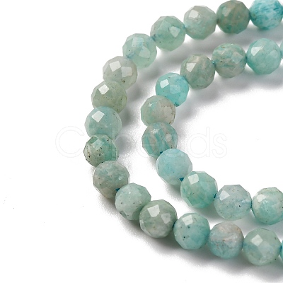 Natural Amazonite Beads Strands LS-G-G140-A18-03-A-1