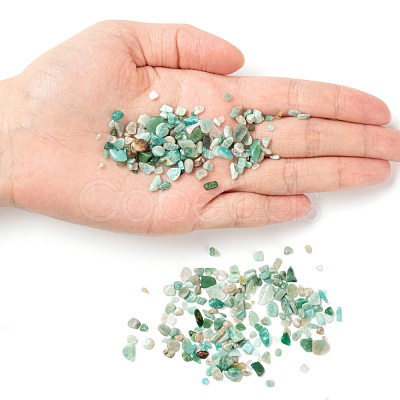 Natural Amazonite Chip Beads G-FS0001-16-1