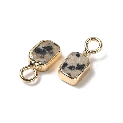 Natural Dalmatian Jasper Rectangle Charms G-Q169-07G-06-1