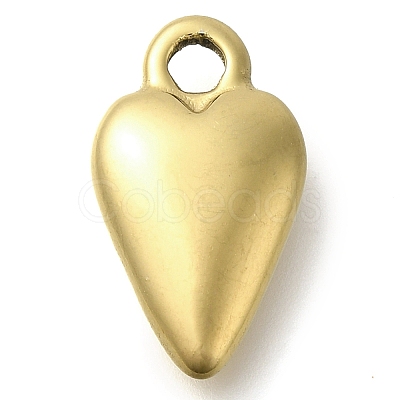 Ion Plating(IP) 304 Stainless Steel Pendants STAS-I310-06G-1