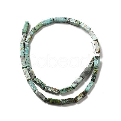 Natural African Turquoise(Jasper) Beads Strands G-F729-01-1