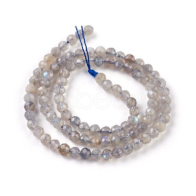 Natural Labradorite Beads Strands G-O176-04A-1