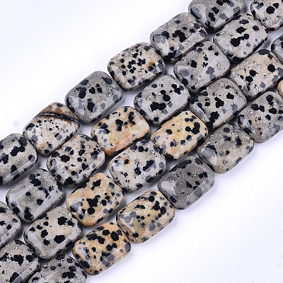 Natural Dalmatian Jasper Beads Strands G-T121-16-1