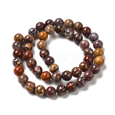 Natural Ocean Jasper Beads Strands G-H298-A13-03-1