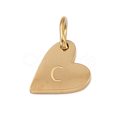 304 Stainless Steel Charms STAS-L291-01G-C-1