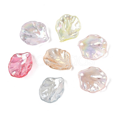 Transparent Acrylic Pendants TACR-F009-08-1