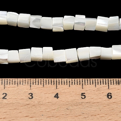 Natural Trochid Shell/Trochus Shell Beads Strands SHEL-C010-05B-1