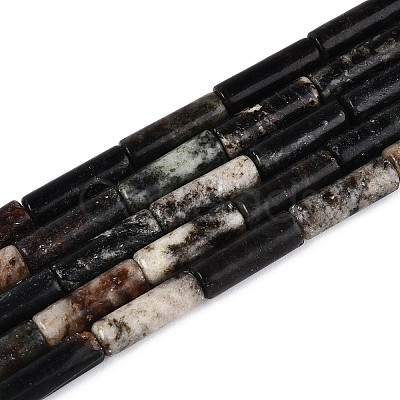 Natural Biotite Beads Strands G-T141-74-1