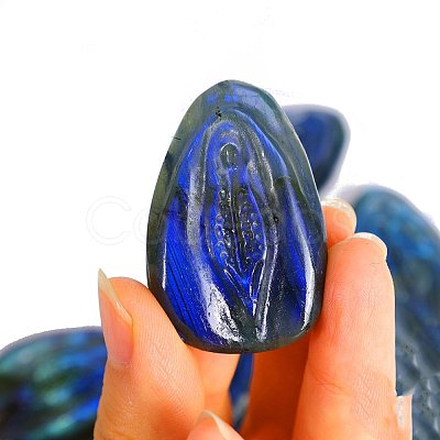 Carved Natural Labradorite Sculpture Display Decorations PW-WGBD60A-04-1