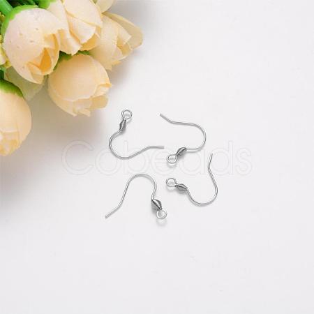 Tarnish Resistant 304 Stainless Steel Earring Hooks STAS-S111-011-1