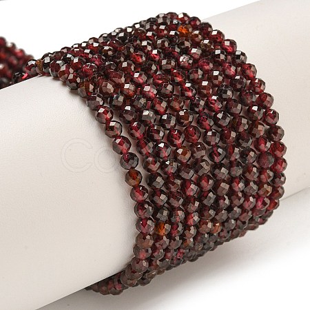 Natural Garnet Beads Strands X-G-I341-09C-1