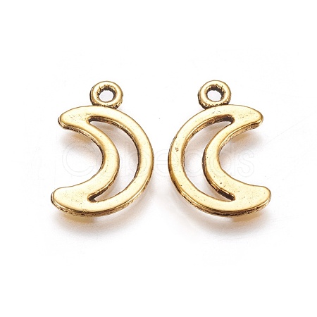 Tibetan Style Alloy Pendants GLF10650Y-1