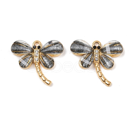 304 Stainless Steel Pendants STAS-C146-01B-01-1