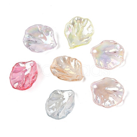 Transparent Acrylic Pendants TACR-F009-08-1