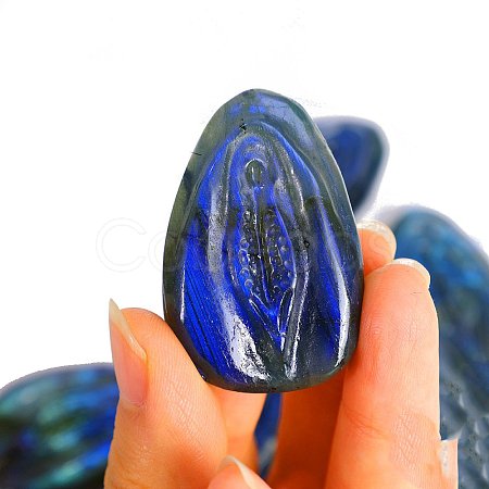 Carved Natural Labradorite Sculpture Display Decorations PW-WGBD60A-04-1