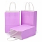 Kraft Paper Bags, Gift Bags, Shopping Bags, with Handles, Plum, 15x8x21cm