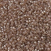 MIYUKI Delica Beads Small SEED-X0054-DBS0102-3