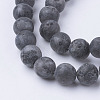 Natural Black Larvikite Bead Strands G-G735-57F-8mm-3