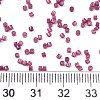 FGB 11/0 Grade A Baking Paint Glass Seed Beads SEED-S030-1147-4