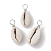 Natural Cowrie Shell Pendants PALLOY-JF02681-02-1