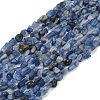 Natural Kyanite Beads Strands G-Q060-D17-2