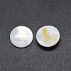 Shell Cabochons SSHEL-E568-B09-1