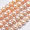 Natural Cultured Freshwater Pearl Beads Strands PEAR-F007-48A-01-1