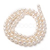 Natural Cultured Freshwater Pearl Beads Strands PEAR-L033-59-3