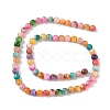 10 Strands Colorful Natural Freshwater Shell Dyed Beads Strands SHEL-M018-02-2