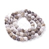 Natural America Petrified Wood Beads Strands G-P430-03-B-1