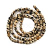 Natural Dalmatian Jasper Beads Strands G-Z068-B07-01-3