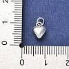 925 Sterling Silver Pendants STER-P057-07B-S-3