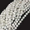 Natural Rainbow Moonstone Beads Strands G-O201B-16-1