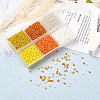 4500Pcs 6 Style 12/0 Glass Seed Beads SEED-YW0001-27A-6