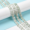 Natural Myanmar Jade Beads Strands G-C238-16A-2