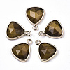 Natural Tiger Eye Charms G-N326-48B-1