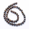 Natural Pietersite Beads Strands G-P336-01-8mm-2
