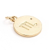 Brass Micro Pave Cubic Zirconia Pendants ZIRC-E164-34C-G-2
