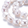 Natural Keshi Pearl Beads Strands PEAR-S020-X01-4