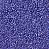 MIYUKI Round Rocailles Beads X-SEED-G008-RR0649-4