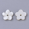 Natural Freshwater Shell Beads SHEL-T017-04-2