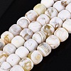 Natural Fire Crackle Agate Beads Strands G-Q606-94A-2