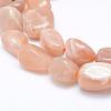 Natural Sunstone Beads Strands G-K203-11B-3