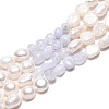 Natural Blue Lace Agate Nuggets & Natural Cultured Freshwater Pearl Beads Strands PEAR-N023-01A-04-2
