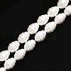 Shell Pearl Beads Strands PEAR-T005-02-1