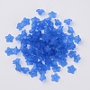 Transparent Acrylic Beads X-PL554-09-2