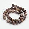 Natural Petrified Wood Round Beads Strands G-P101-01-10mm-2